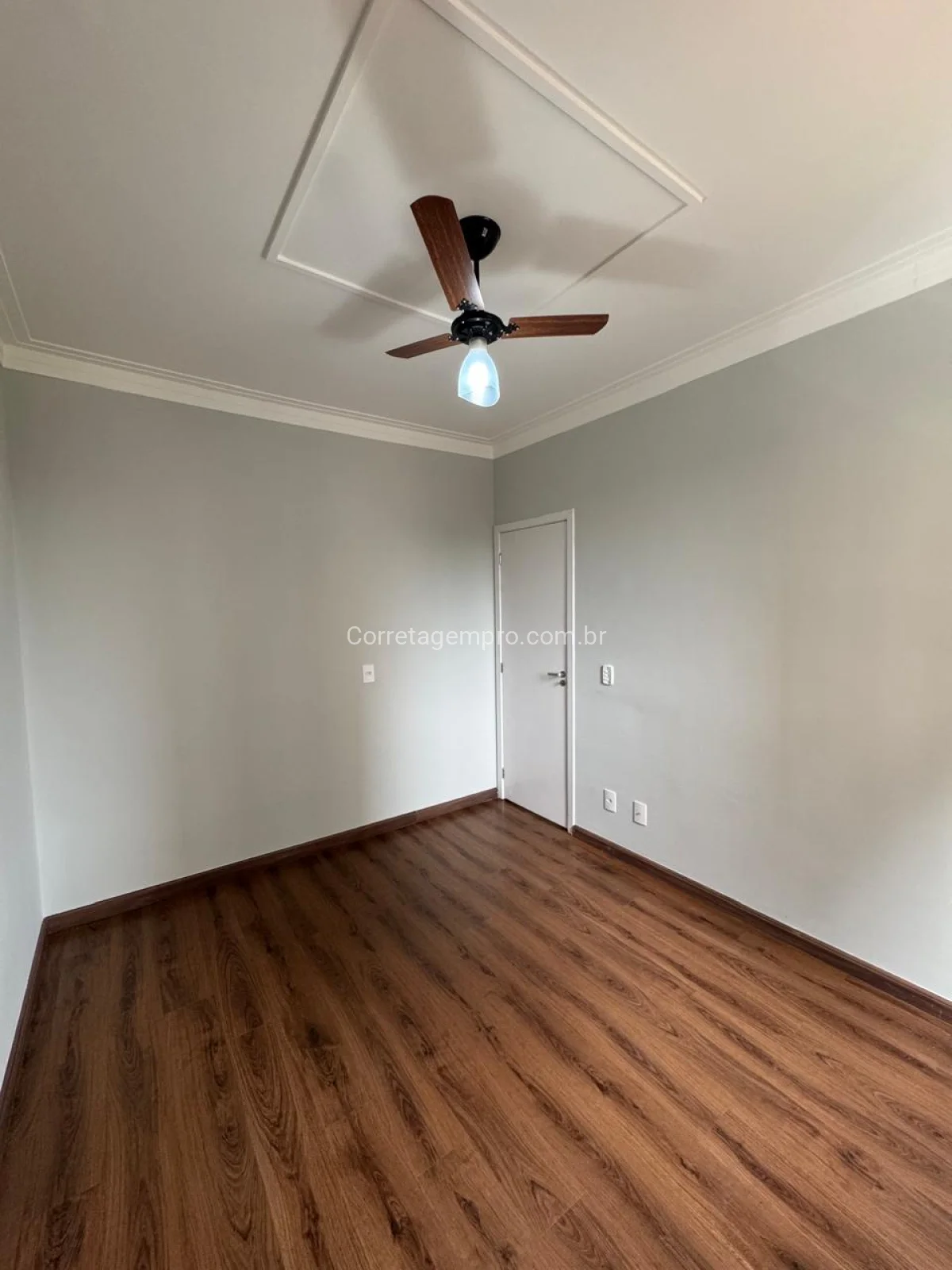 Oportunidade investimento