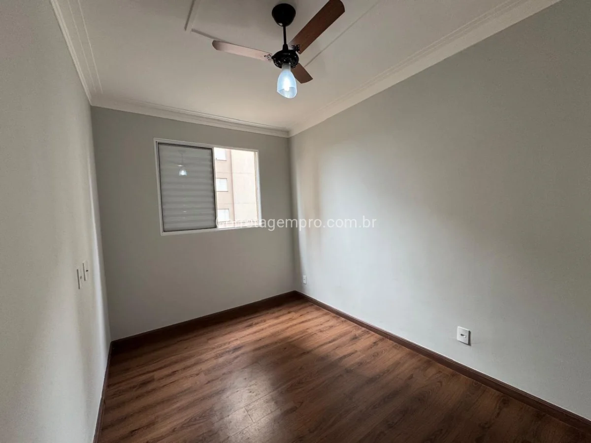 Oportunidade investimento