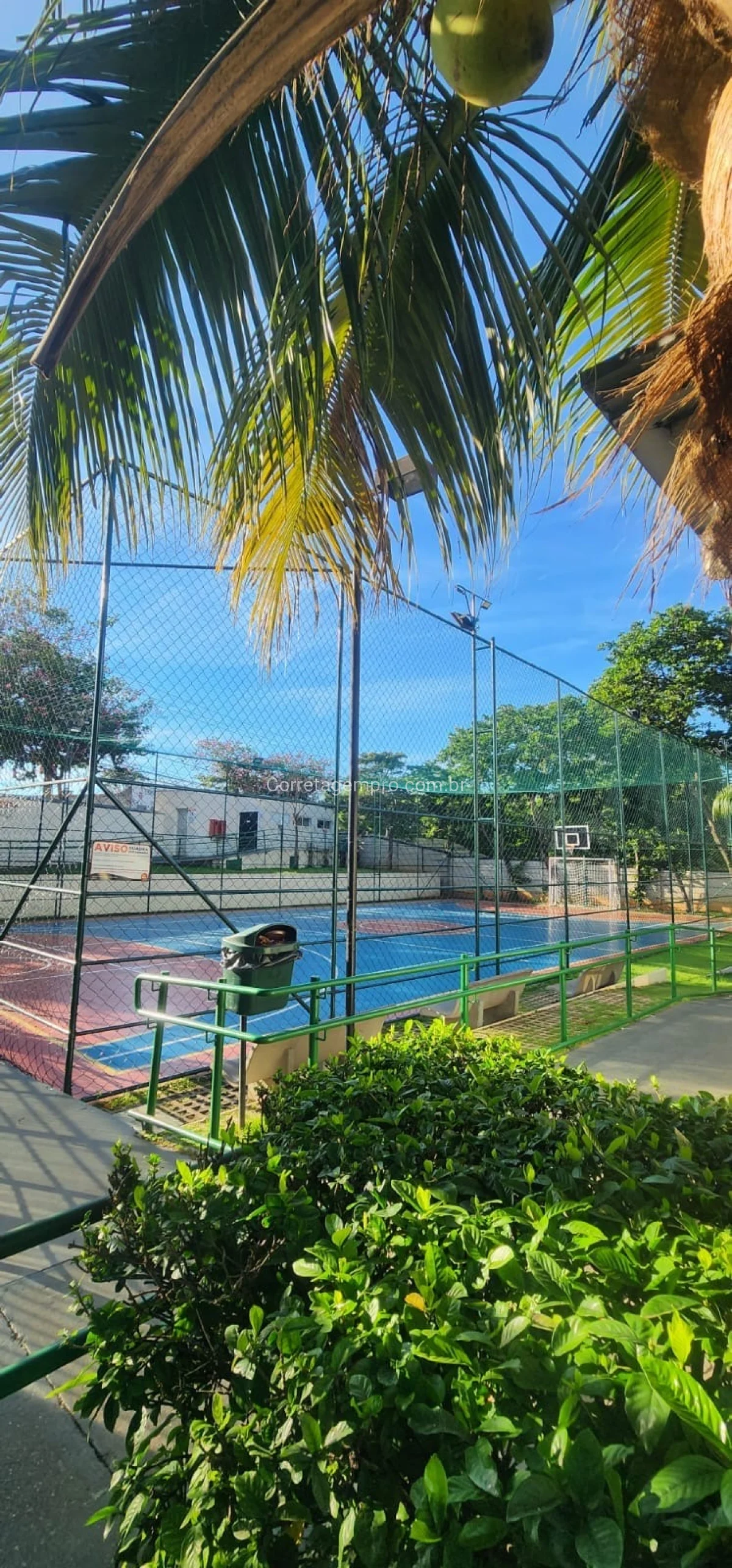 EXCELENTE LOCALIZAÇÃO DIVISA COM PAULIINIA