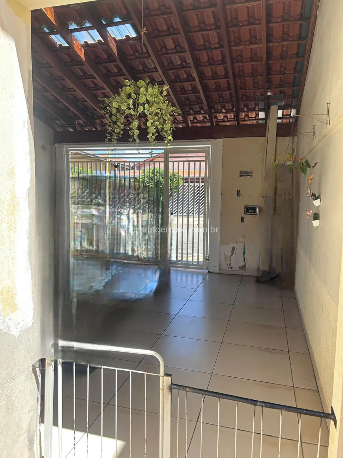 Dallorto meio terreno