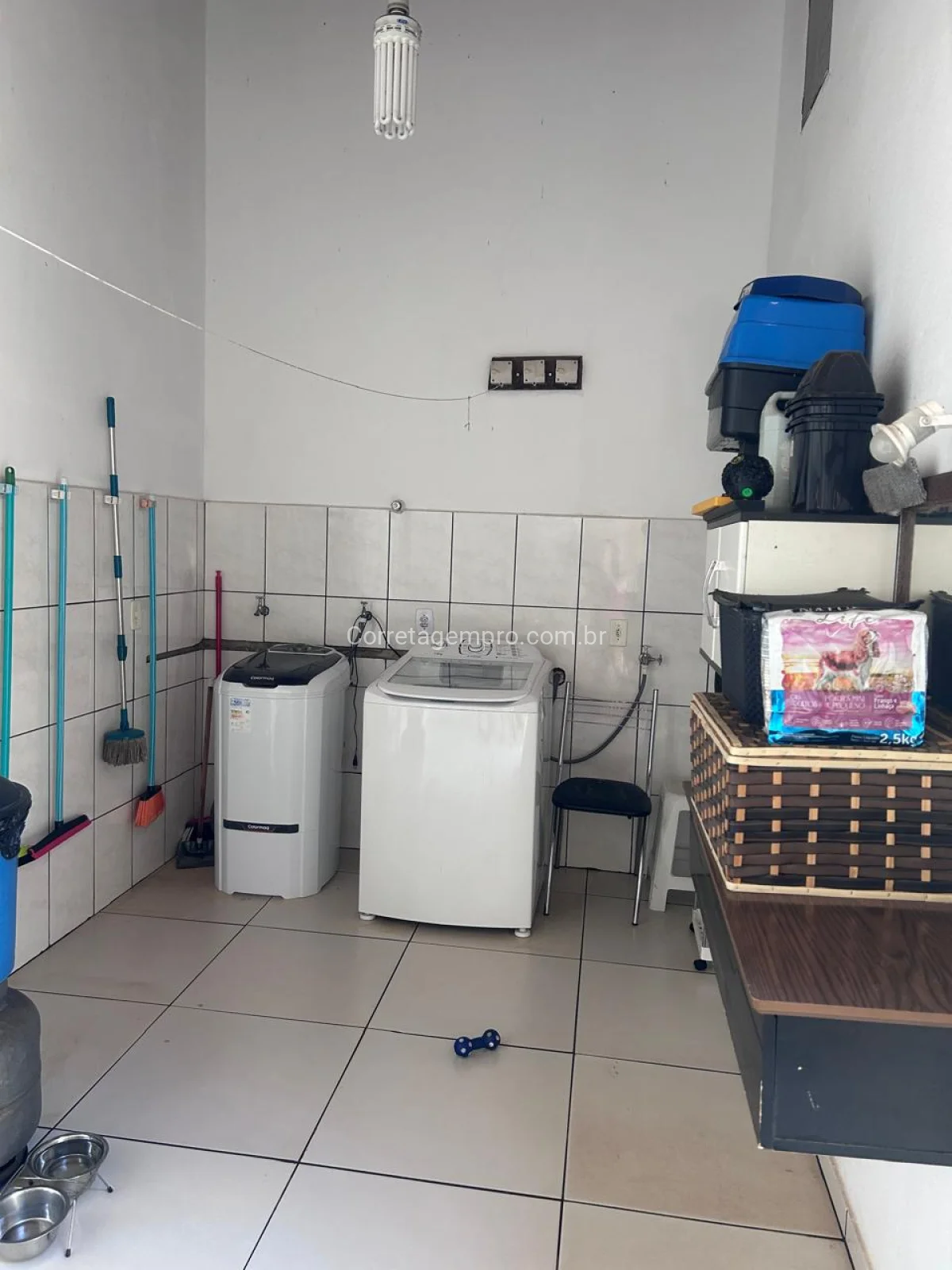 Dallorto meio terreno