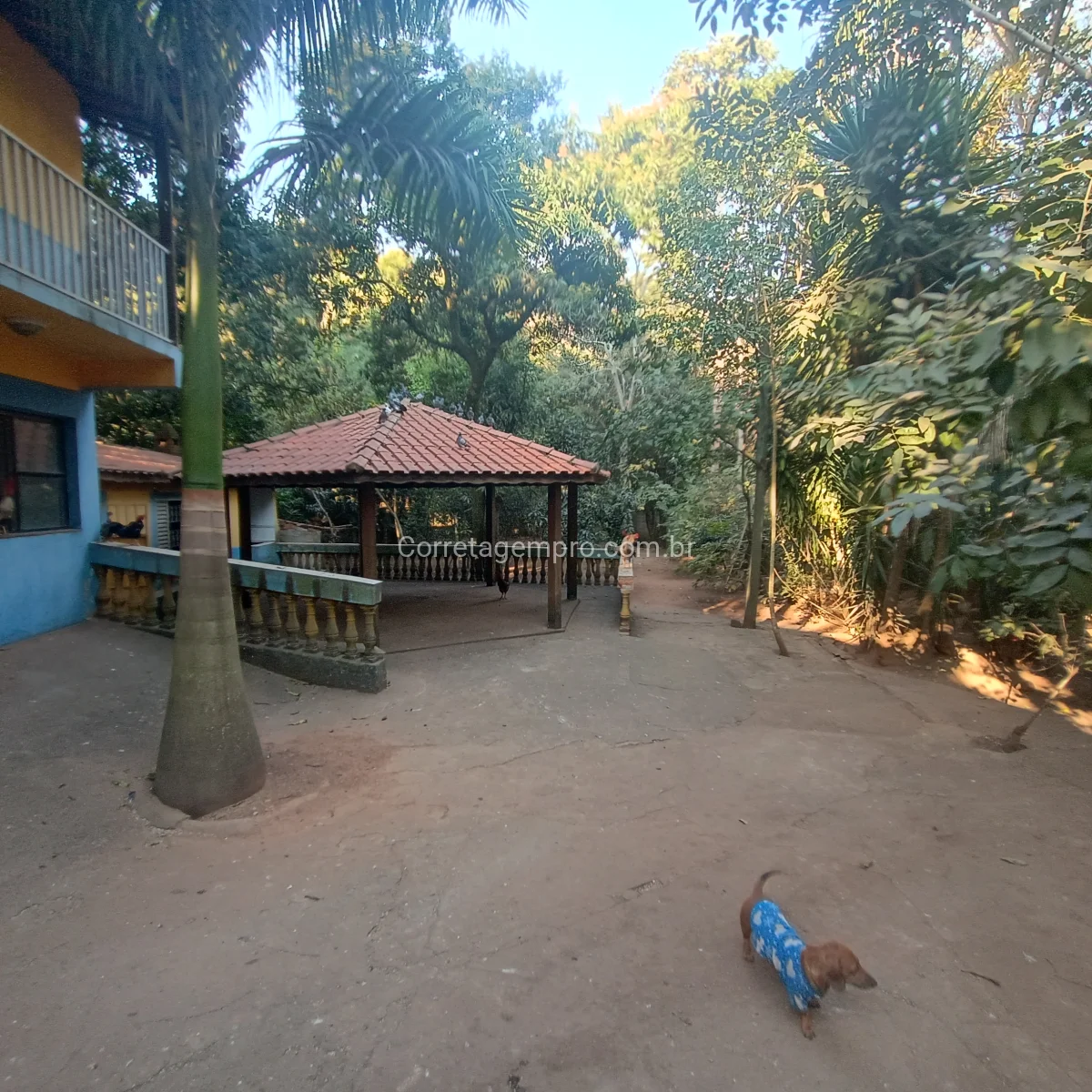 Chácara pesqueiro rio Jaguari